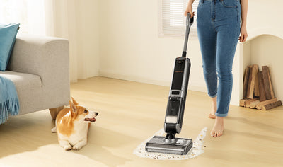 Wet Dry Vacuum Cleaners:  An Inside Look at Their Luster and Why You Should Purchase One